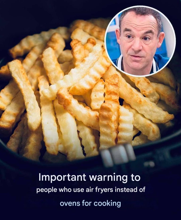 Experts warn against using air fryers instead of ovens