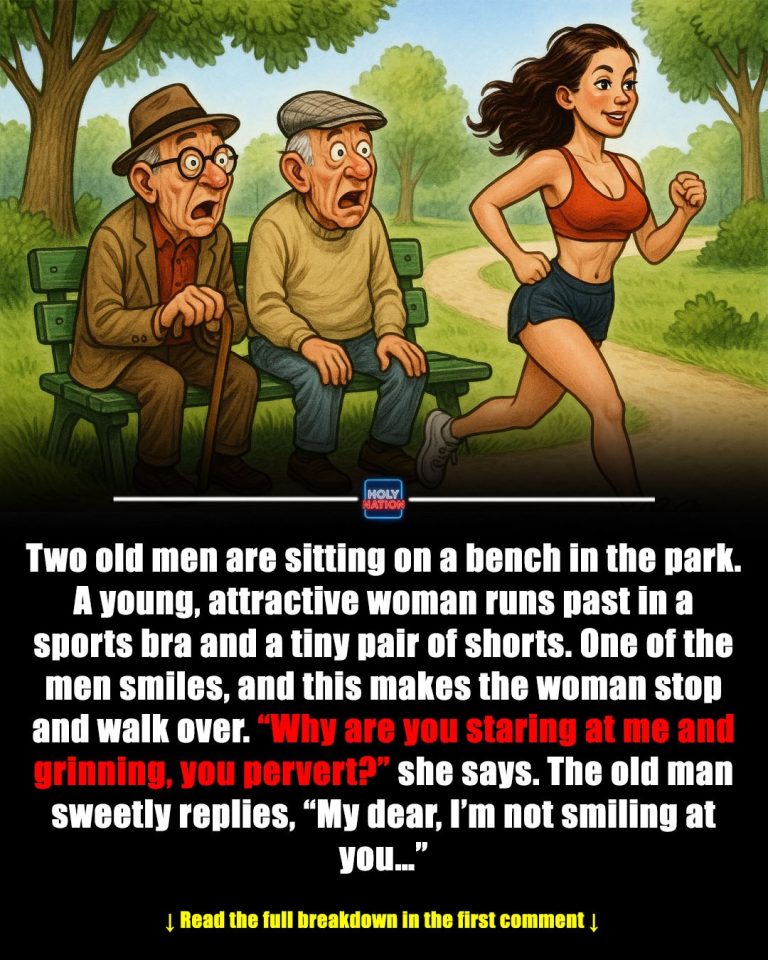 Old Men on the Bench: A Quiet Story About Aging, Dignity, and Human Connection