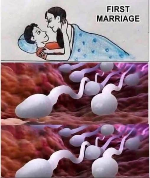 Studies reveal that swallowing your partner’s semen…