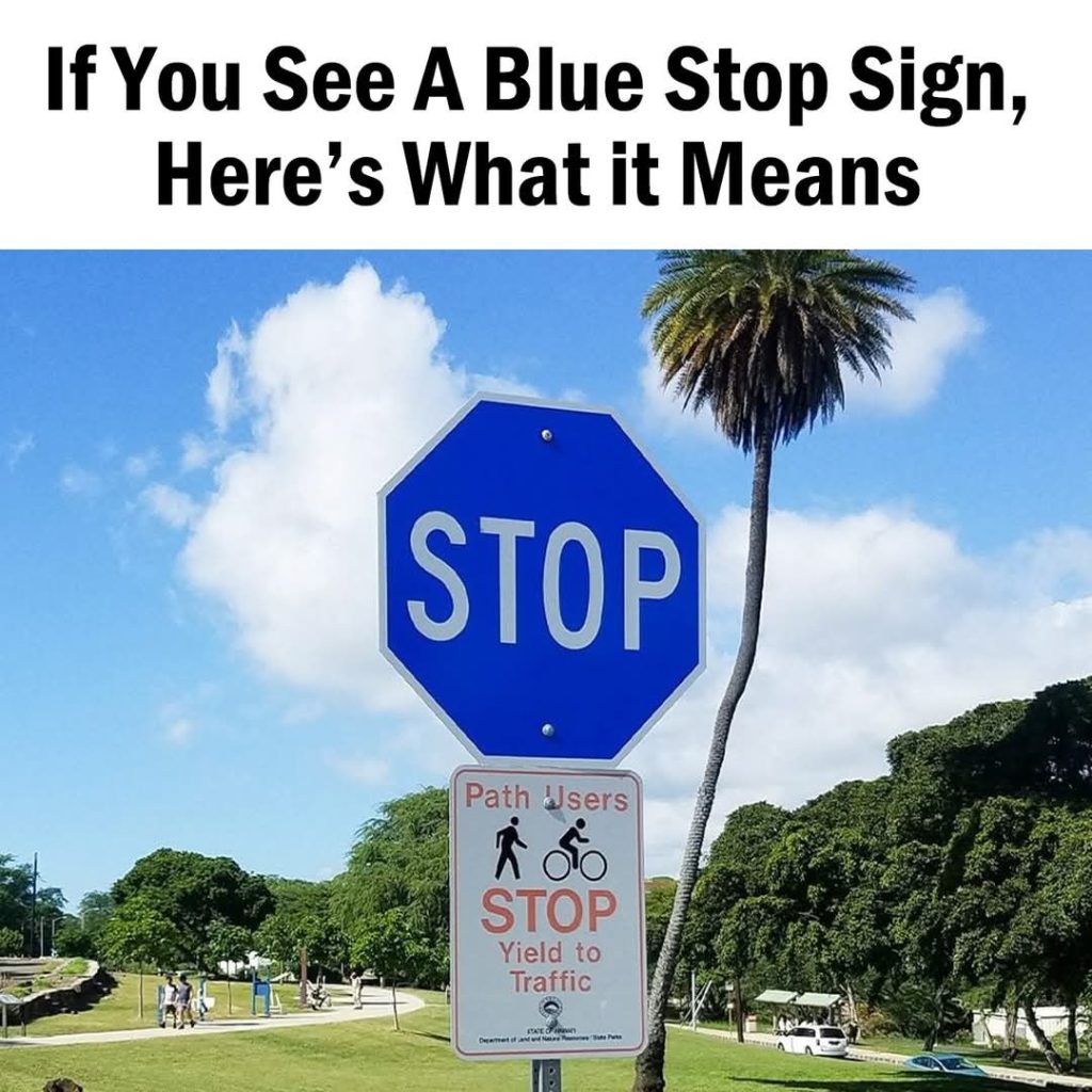 Blue Stop Sign Draw The Mystery of the Blue Stop Sign – Tiny House Zone