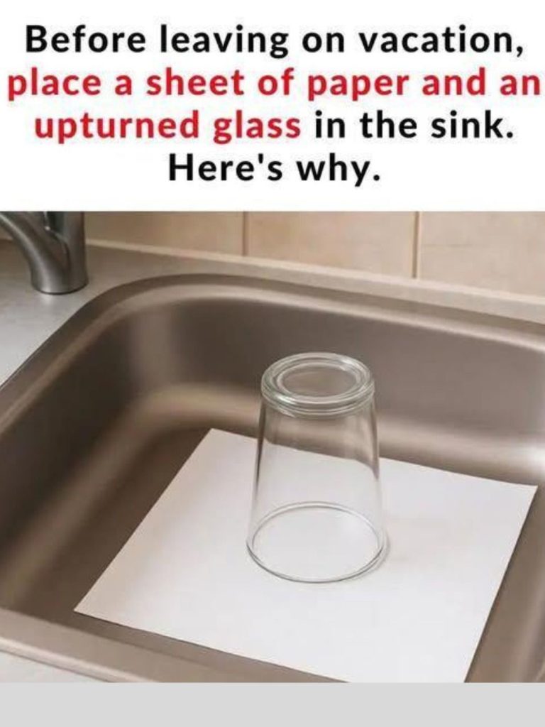 🧼 Here’s the Reason to Always Place an Upside-Down Glass and a Piece of Paper in the Sink Before You Leave for Vacation