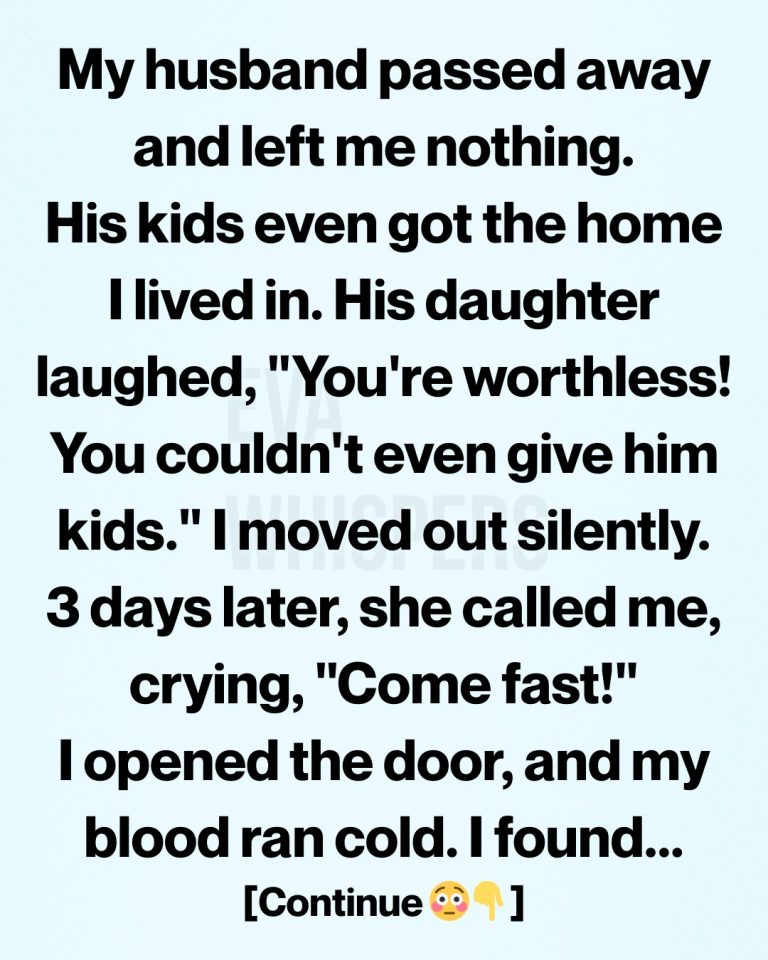 His Daughter Threw Me Out… Until the Lawyer Revealed My Husband’s Final Twist