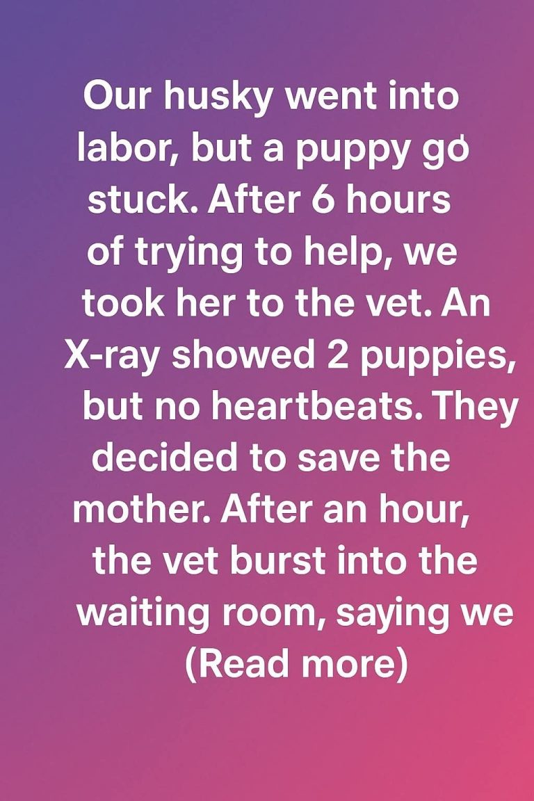 A Miracle Named Hope: How Our Husky and Her Puppy Beat the Odds