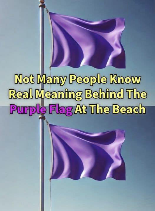 The Meaning of a Purple Flag at the Beach