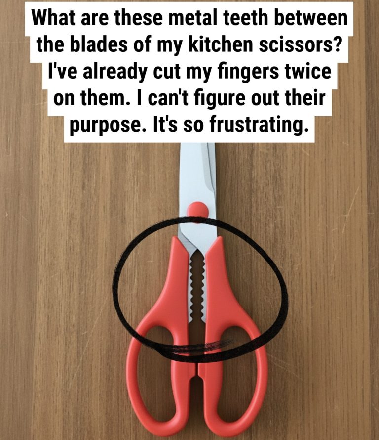 What’s the purpose of that jagged section on kitchen scissors?