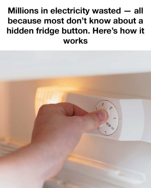 Unlock Hidden Savings: How Your Fridge’s Temperature Button Can Lower Bills