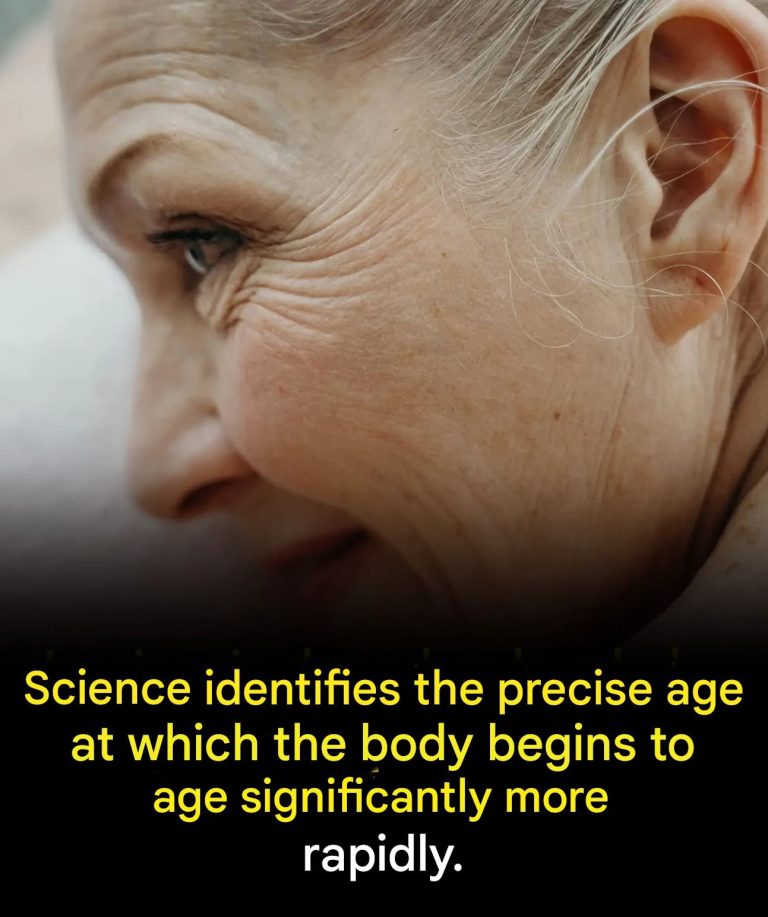 They discover the precise moment when the body accelerates its aging.