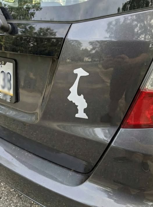 Why Drivers Display This Upside-Down Sticker on Their Cars 🌲🚗