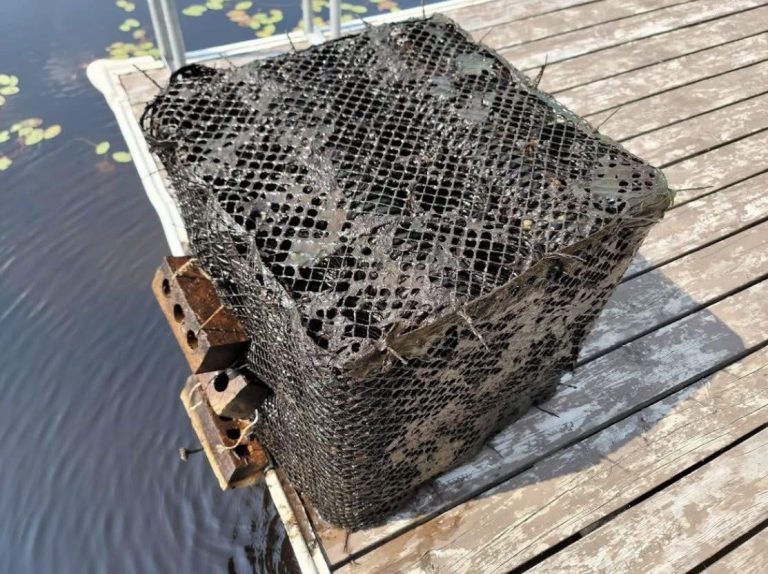 The Secrets Underneath Will Amaze You!