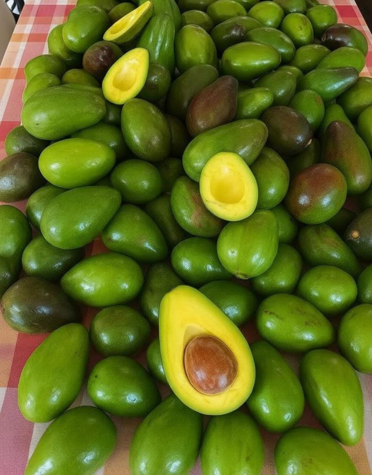 Doctors Reveal That Eating Avocado Can Cause Unexpected Side Effects