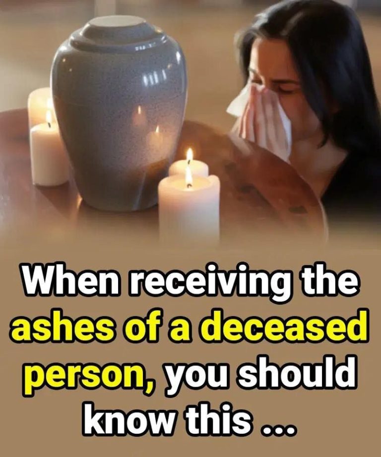 What You Should Know Before Scattering a Loved One’s Ashes
