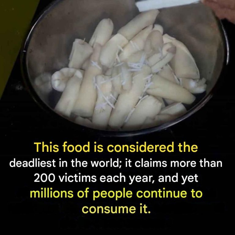 “The world’s deadliest food” kills more than 200 people a year, but millions continue to consume it.