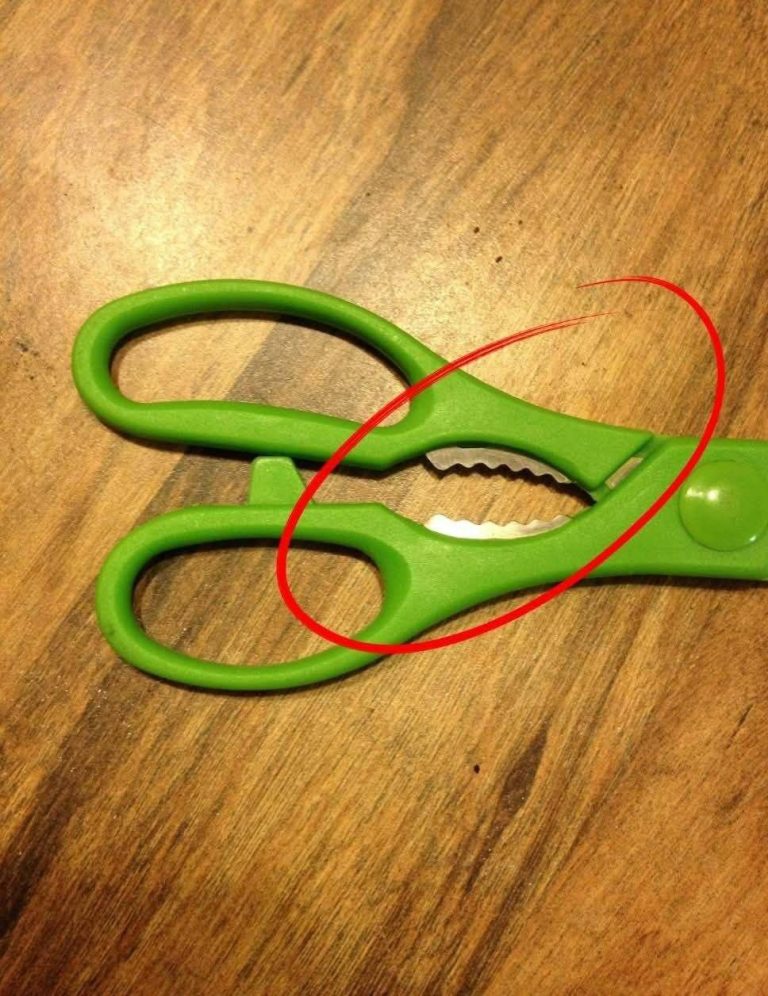 What Is That Weird Toothed Part on Kitchen Scissors For? (You’ve Been Ignoring a Genius Tool)