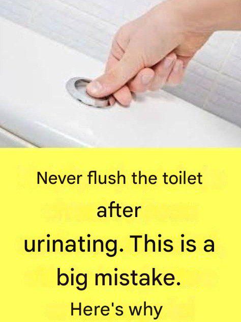 Why Is It Extremely Important Not to Flush the Toilet After Every Urination?