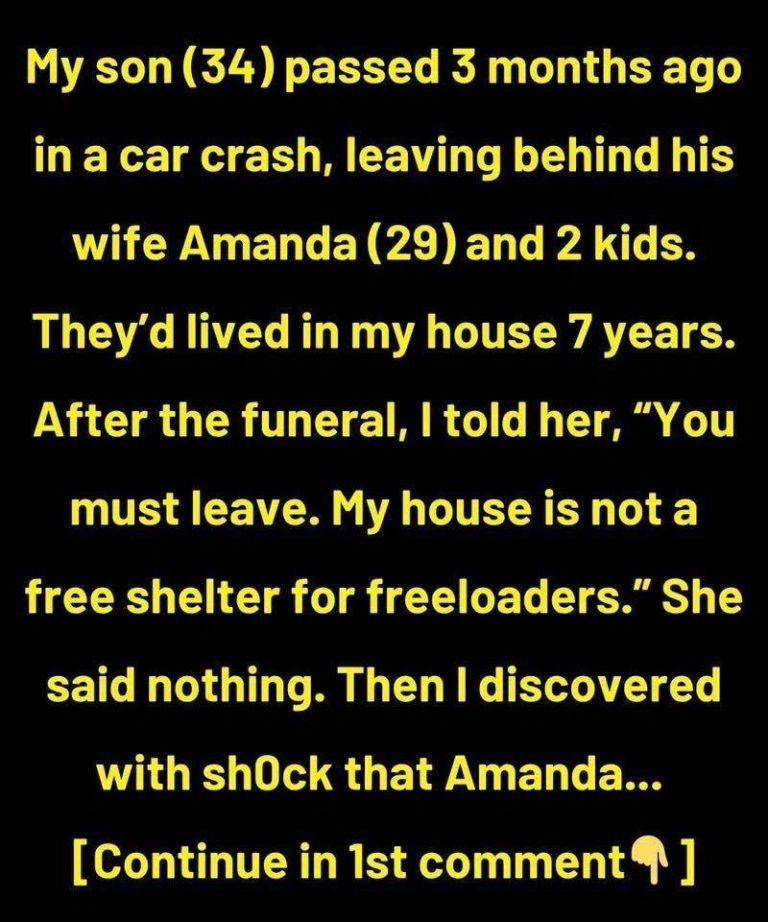 I Kicked Out My DIL and Grandkids After My Son’s D3ath, My House Is Not a Free Hotel