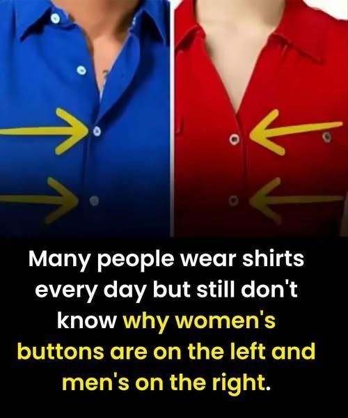 Why Women’s Shirts Button Differently from Men’s: A History Sewn Into Everyday Clothing