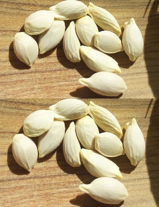 Don’t throw away lemon seeds anymore: their surprising uses will amaze you!