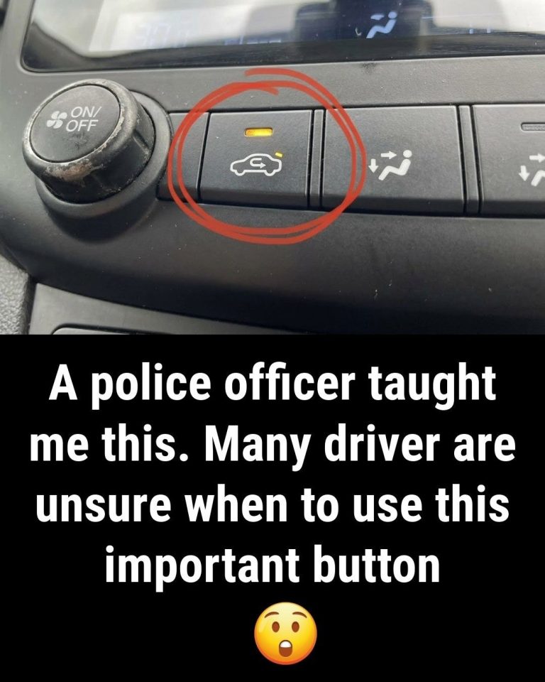 What Does the Air Recirculation Button in Your Car Actually Do? (And When to Use It!)