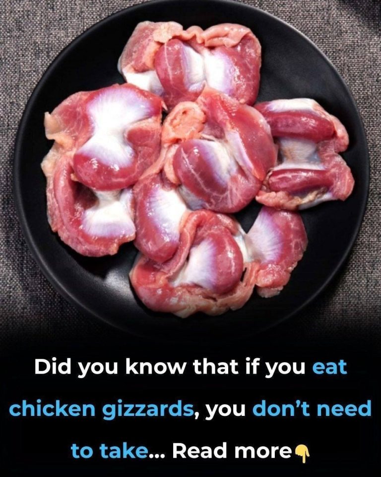 Did You Know? Chicken Gizzards Are a Nutritional Powerhouse Worth Trying