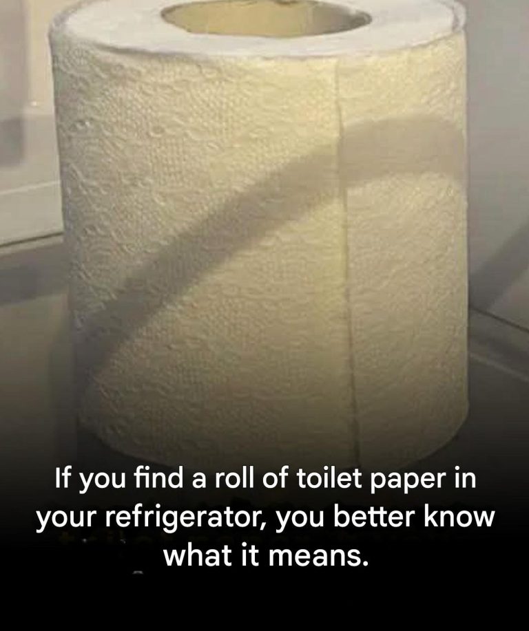 Why a roll of toilet paper in your fridge might mean something