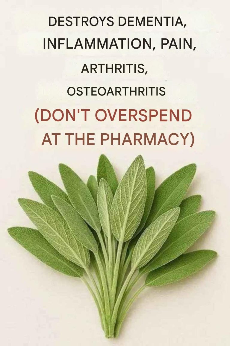 Everything you can do with a single sage plant: all of Grandma’s uses