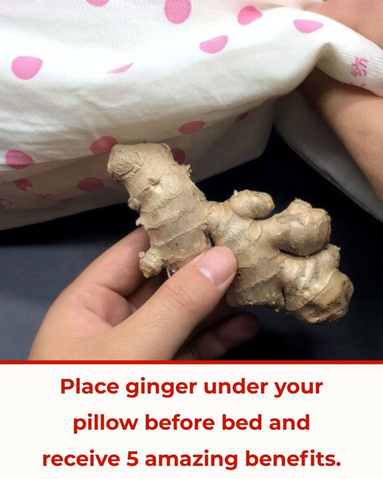 The Health Benefits of Ginger