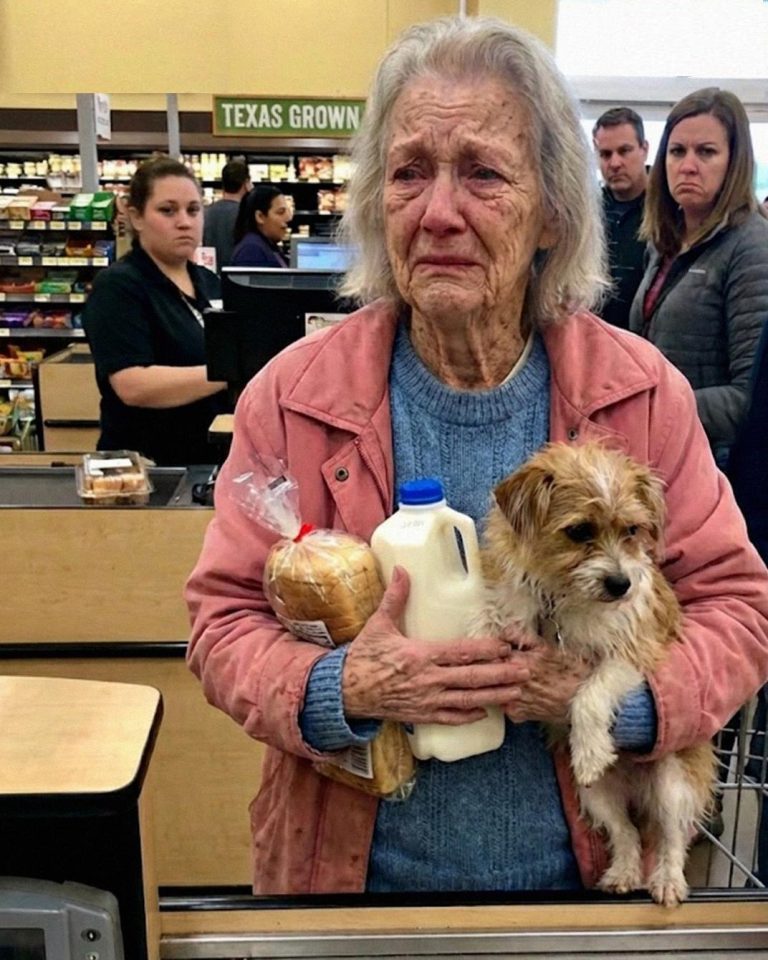 “I Helped a Struggling Grandma at the Grocery Store — Three Days Later, the Clerk Delivered Her Heartbreaking Request”