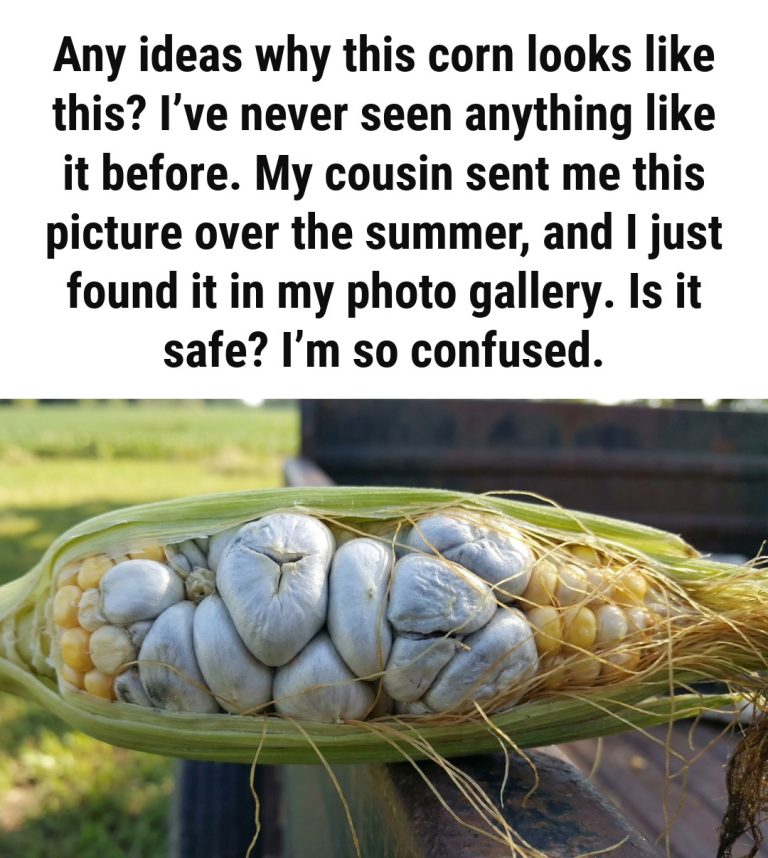 That Weird Bump on Corn Has a Name You Need to Know