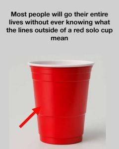 The Red Solo Cup: Secrets Behind an American Icon – Tiny House Zone