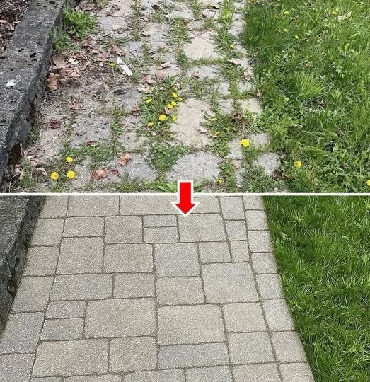 How to eliminate weeds forever and naturally