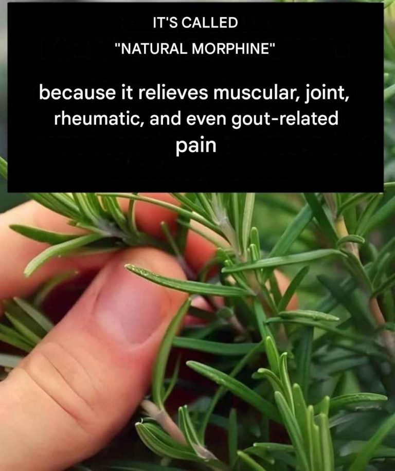 Natural Pain Relief Infusion: The Miracle Recipe with 4 Ingredients That Revolutionizes Alternative Medicine