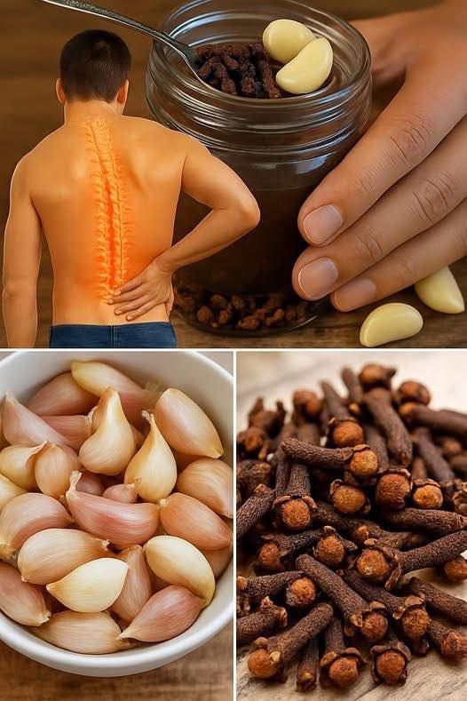 Nature’s Power Trio: Garlic, Honey, and Cloves for Vibrant Wellness