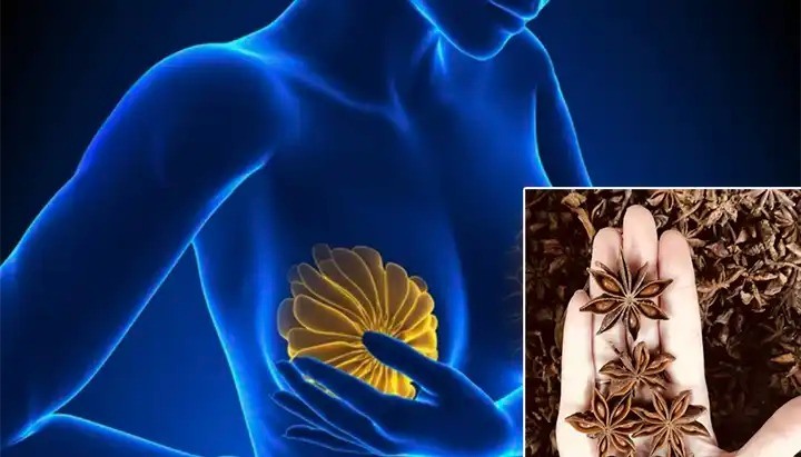 8 Health Benefits & Uses of Anise Seeds for Women — Backed by Tradition & Science