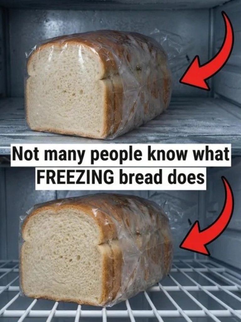 Here’s what happens when bread goes into the freezer.