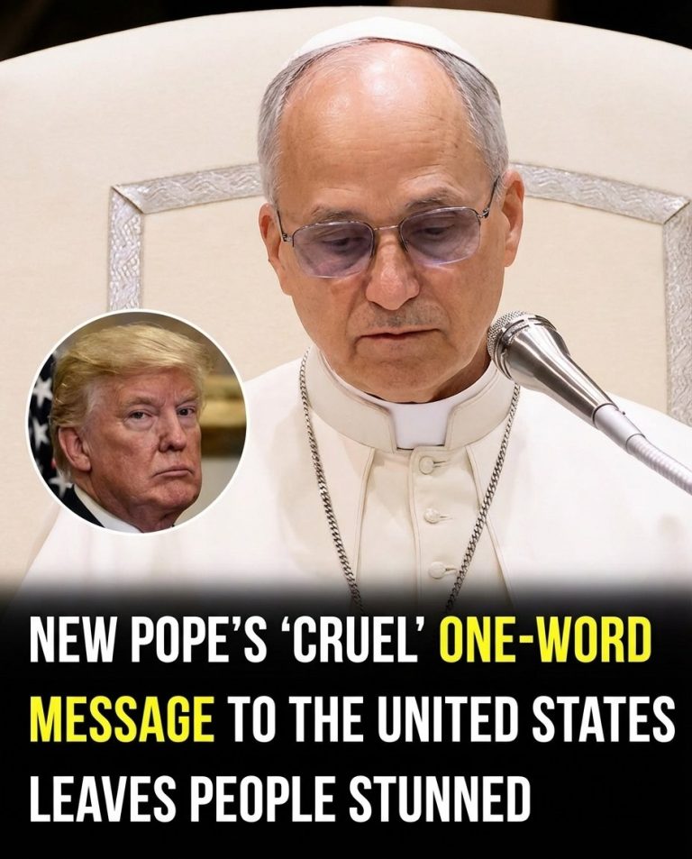 The Pope’s Single Word to the U.S. Ignited Worldwide Discussion