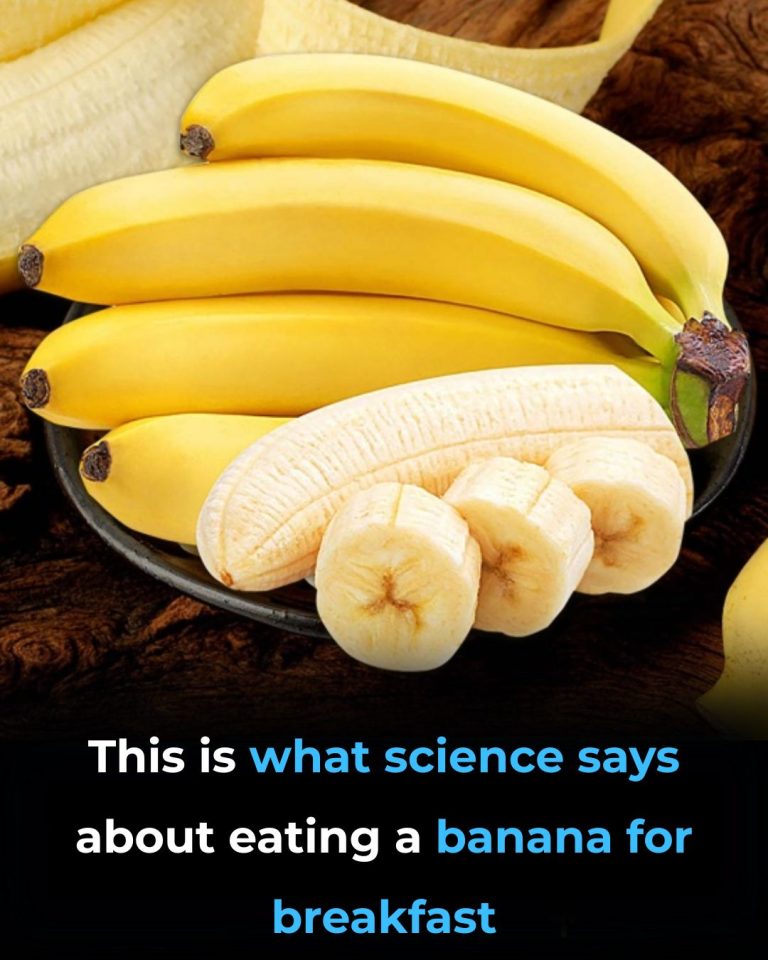 Scientists Confirm Timeline For Earth’s Destruction As Predicted By Elon Musk