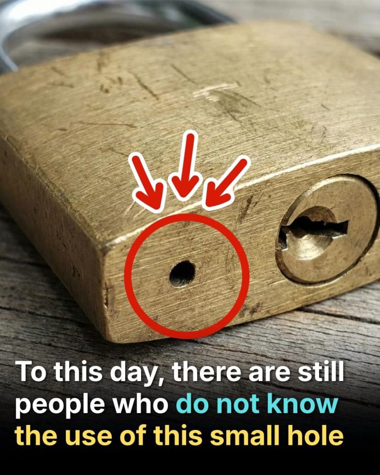 Why Is There a Tiny Hole on the Bottom of a Padlock?
