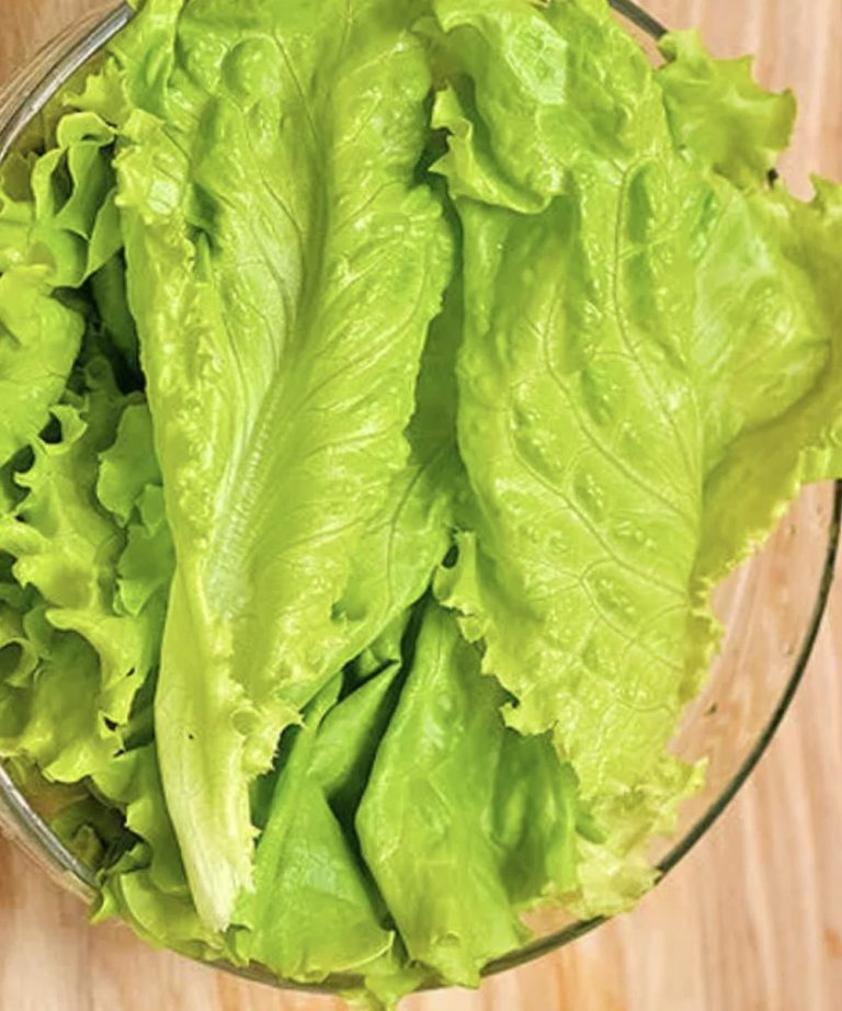Doctors reveal that eating lettuce in winter causes …