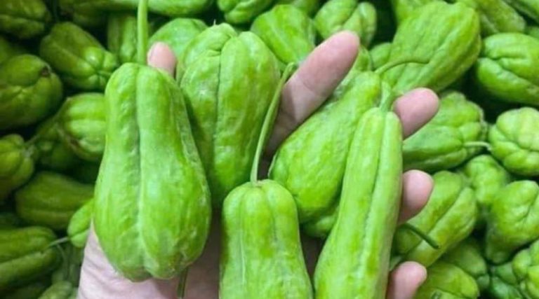 4 groups of people should avoid eating chayote