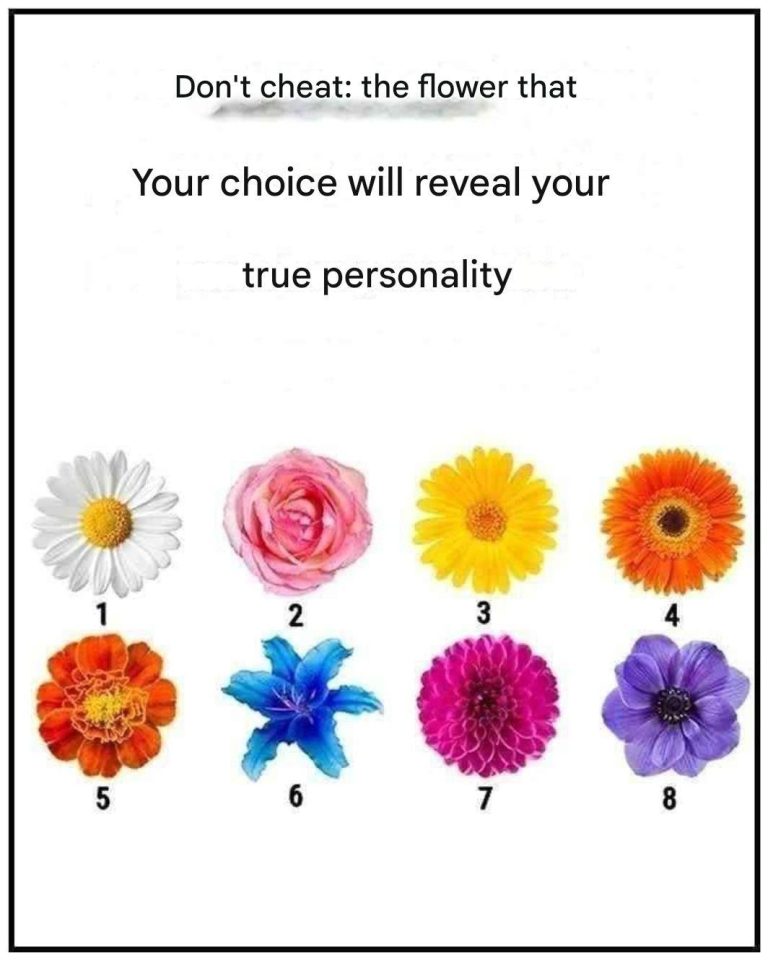 Speechless. The flower you choose will reveal your true character trait.