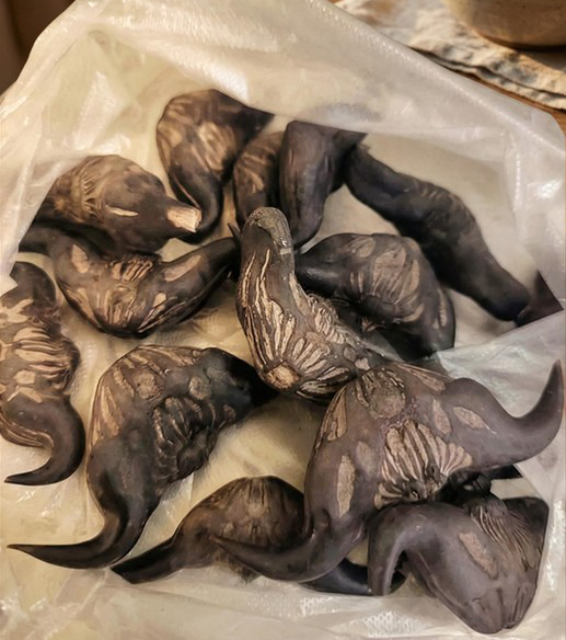 5 Warning Signs a Wild Forest Root May Not Be Safe to Eat