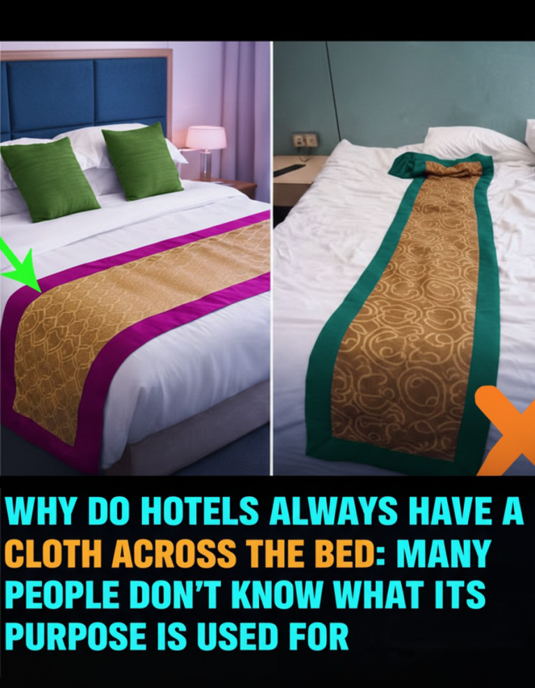 🛏️ What’s the Purpose of the Fabric Strip Across Hotel Beds? (It’s Not Just for Looks!) 🌟