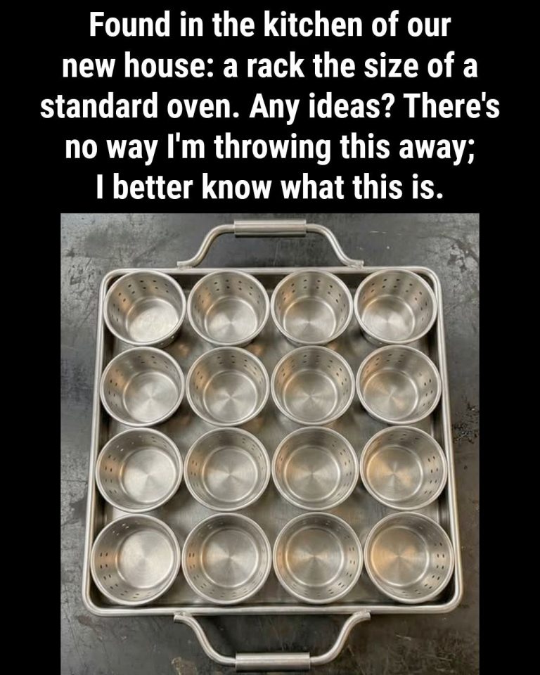 “Found in the kitchen of a new house: a rack the size of a standard oven. Any ideas?”
