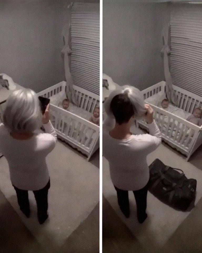 I Hired a Sweet 60-Year-Old Babysitter to Watch My Twins – Then One Night the Nanny Cam Showed Me Who She Really Was