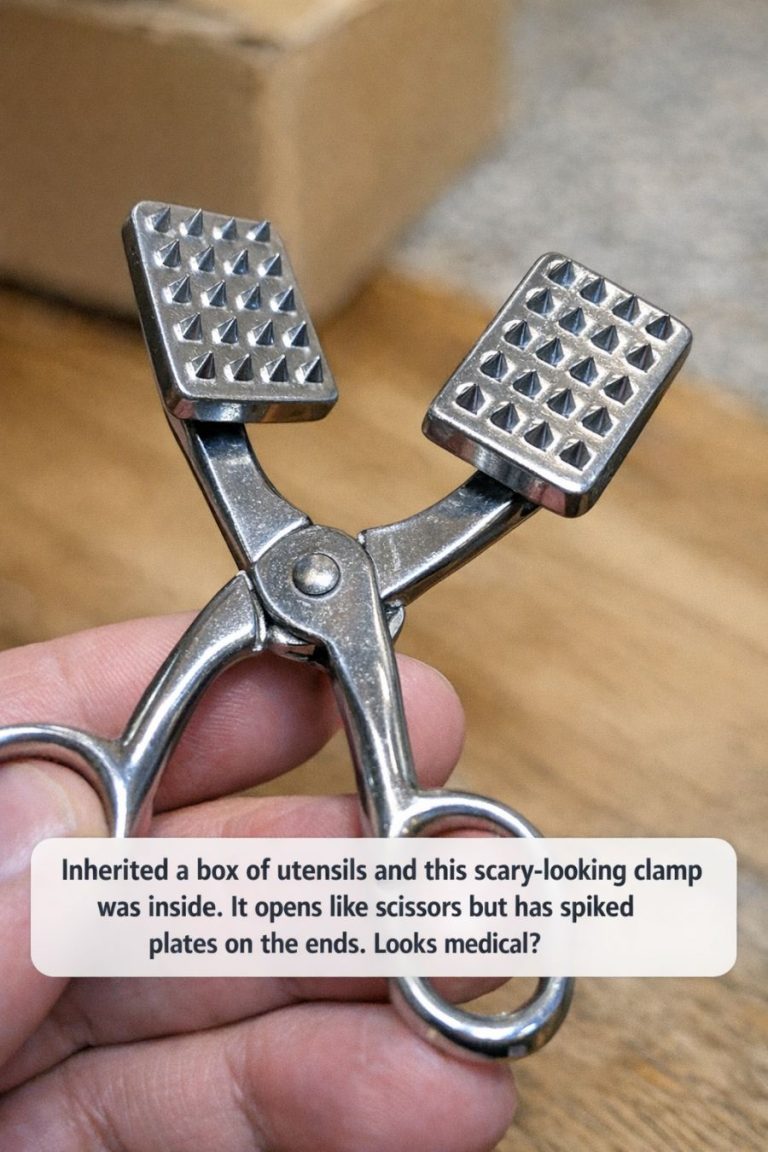Inherited a box of utensils and this scary-looking clamp was inside. It opens like scissors but has spiked plates on the ends. Looks medical?