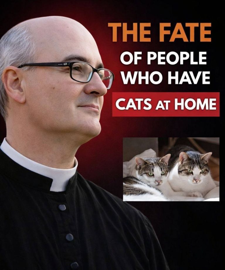 Father Fortea revealed: The fate of those who have cats at home.