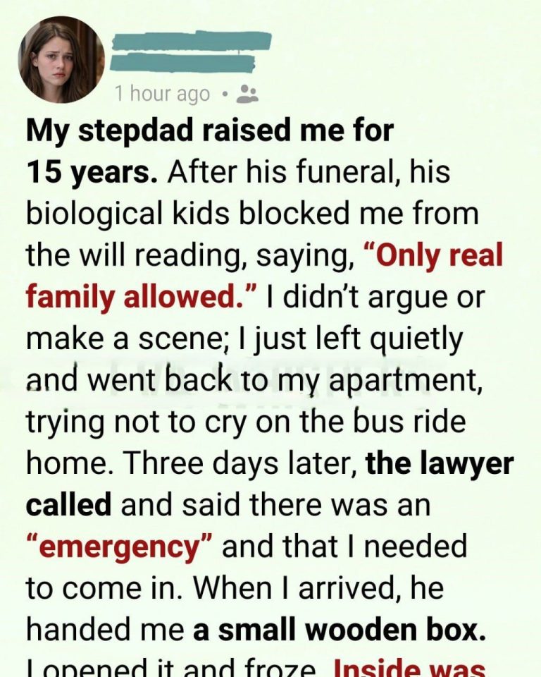 I Was Asked to Leave My Stepfather’s Will Reading. Three Days Later, a Phone Call Changed Everything I Thought I Knew