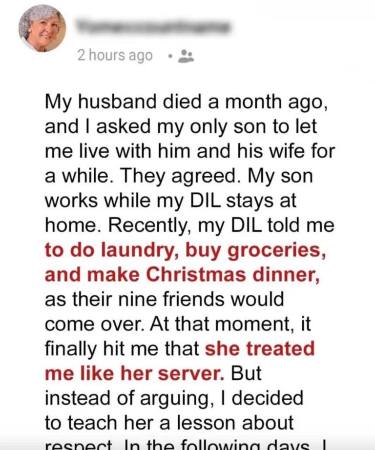 My Daughter-in-Law Treats Me Like Her Personal Maid — So This Christmas, I Decided to Teach Her a Lesson She’ll Never Forget.