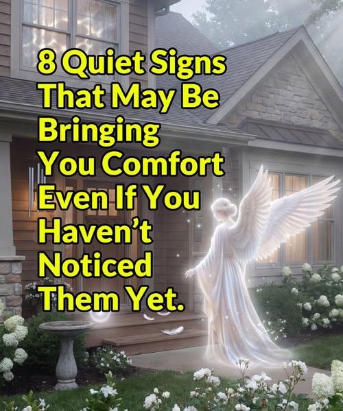 8 Quiet Signs That May Be Bringing You Comfort — Even If You Haven’t Noticed Them Yet.