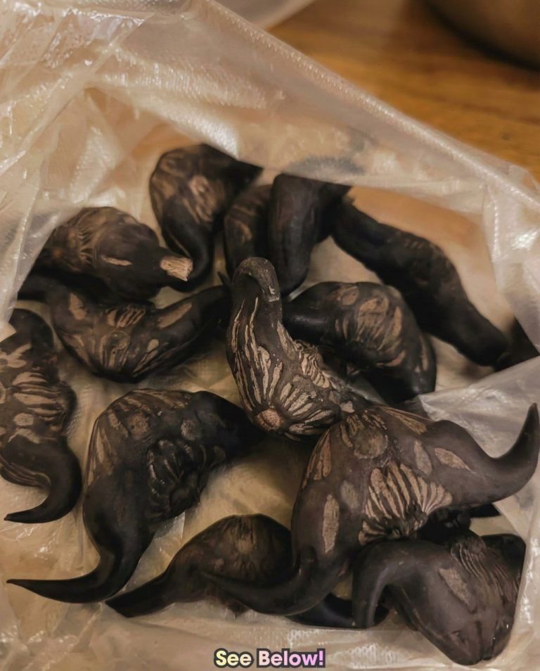 My Neighbor Gave Me a Bag of These